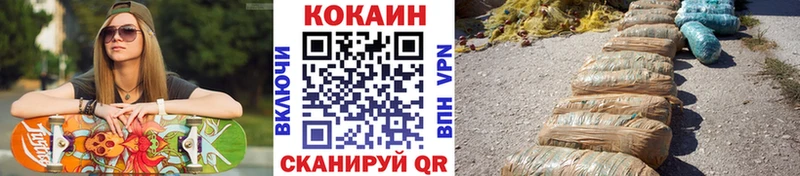 Cocaine FishScale  Купить закладки  Вельск 