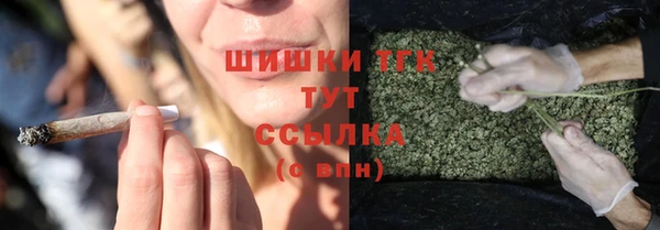 скорость Бородино