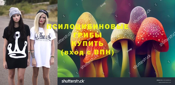 скорость Бородино