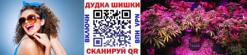 Купить закладки  Вельск  Шишки марихуана THC 21% 